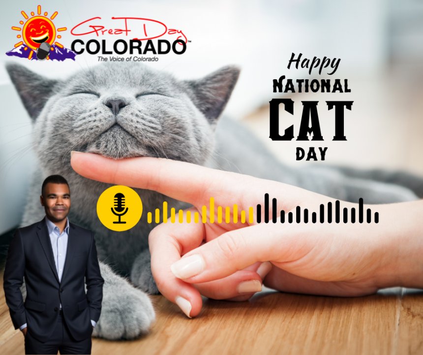 Why National Cat Day Matters For You And Your Feline